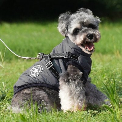 Manteau Imperméable pour Chien - HarnessDogJacket™ - Noir