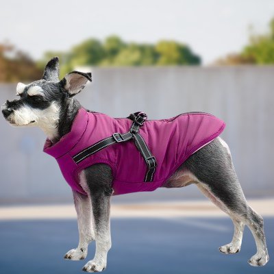 Manteau Imperméable pour Chien - HarnessDogJacket™ - Pourpre