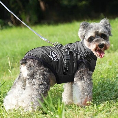 Manteau Imperméable pour Chien - HarnessDogJacket™ - Noir