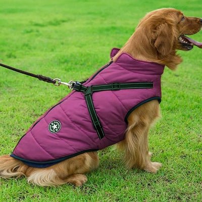 Manteau Imperméable pour Chien - HarnessDogJacket™ - Pourpre