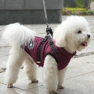 Manteau Imperméable pour Chien - HarnessDogJacket™ - Pourpre