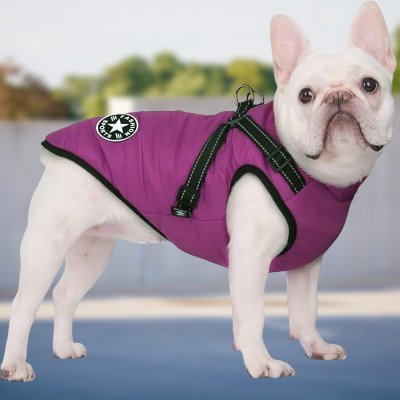 Manteau Imperméable pour Chien - HarnessDogJacket™ - Pourpre