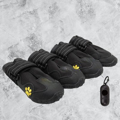 Chaussures pour Chien - PetDogShoes™ - Noir