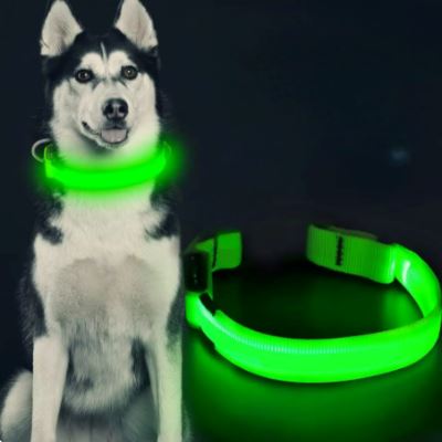 Collier de Chien - LEDCollarDog™ - Vert