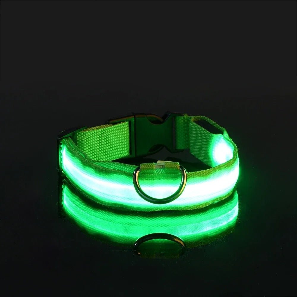 Collier de Chien - LEDCollarDog™ - Vert