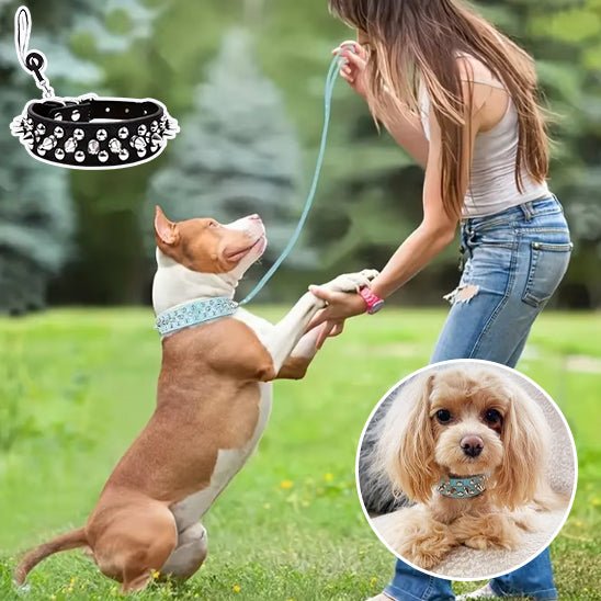 Ensemble laisse et collier clouté pour chien - Noir