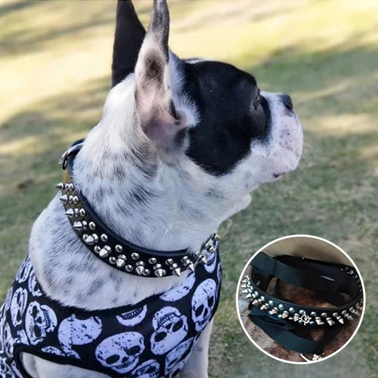 Ensemble laisse et collier clouté pour chien - Noir