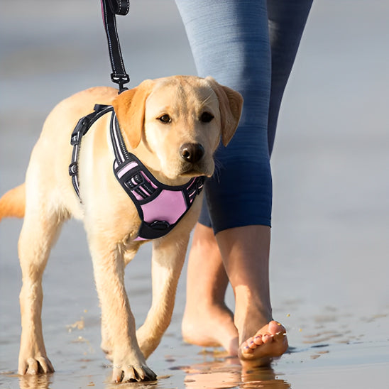 Harnais réglable réfléchissant pour chien - Rose