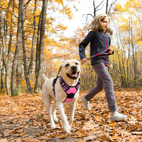 Harnais réglable réfléchissant pour chien - Rose