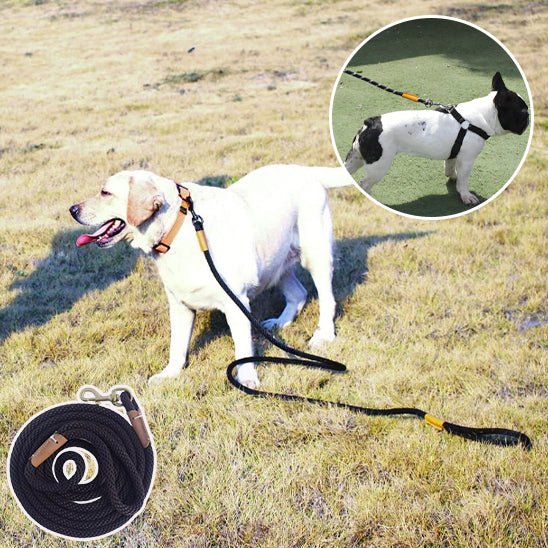 Laisse d'entrainement pour chien - Bleu ciel