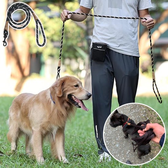 Laisse d'entrainement pour chien - Bleu ciel