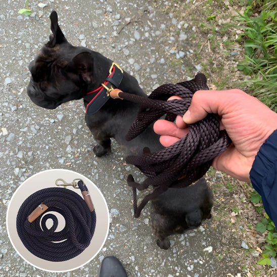 Laisse d'entrainement pour chien - Bleu