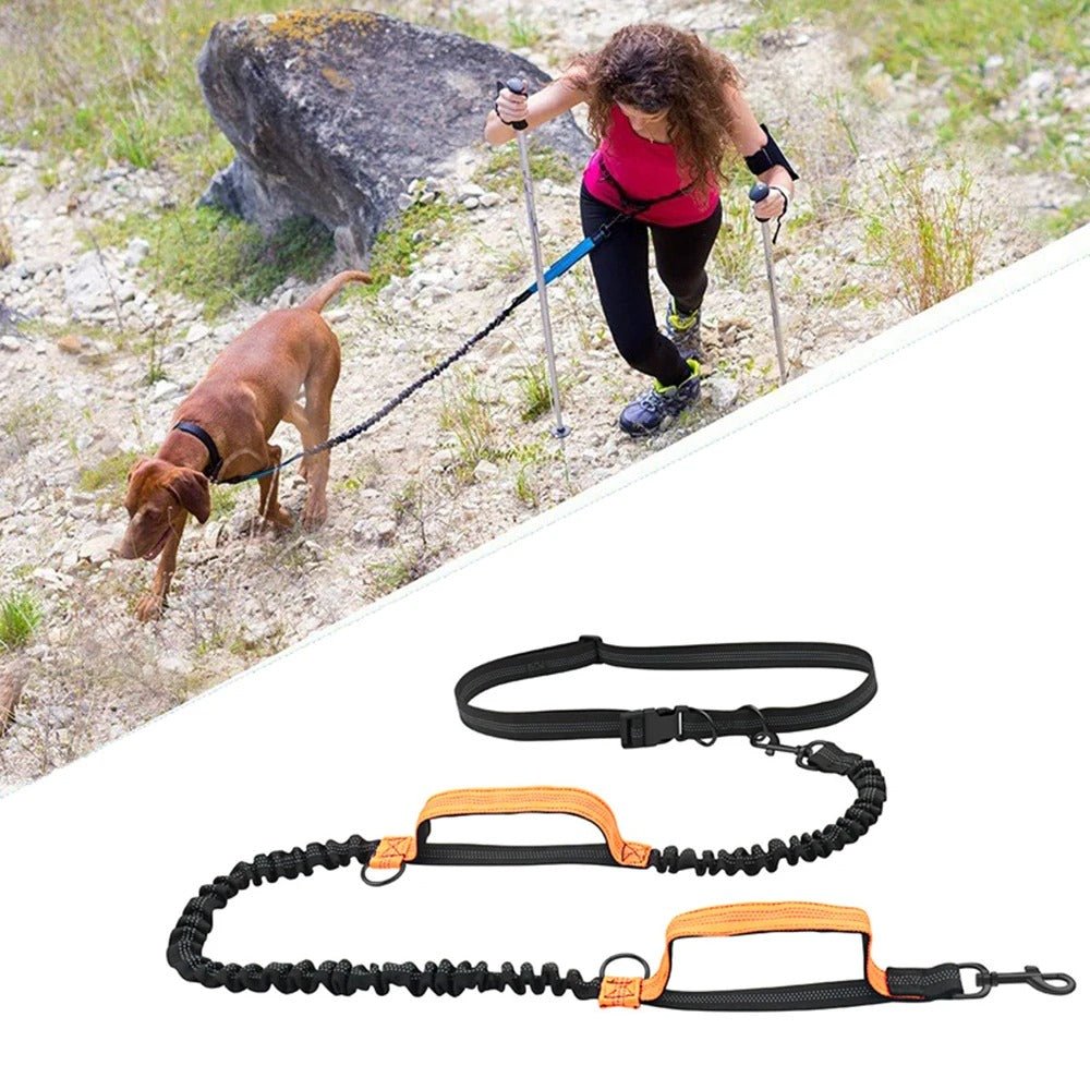 Laisse mains libres pour chien rétractable - Orange