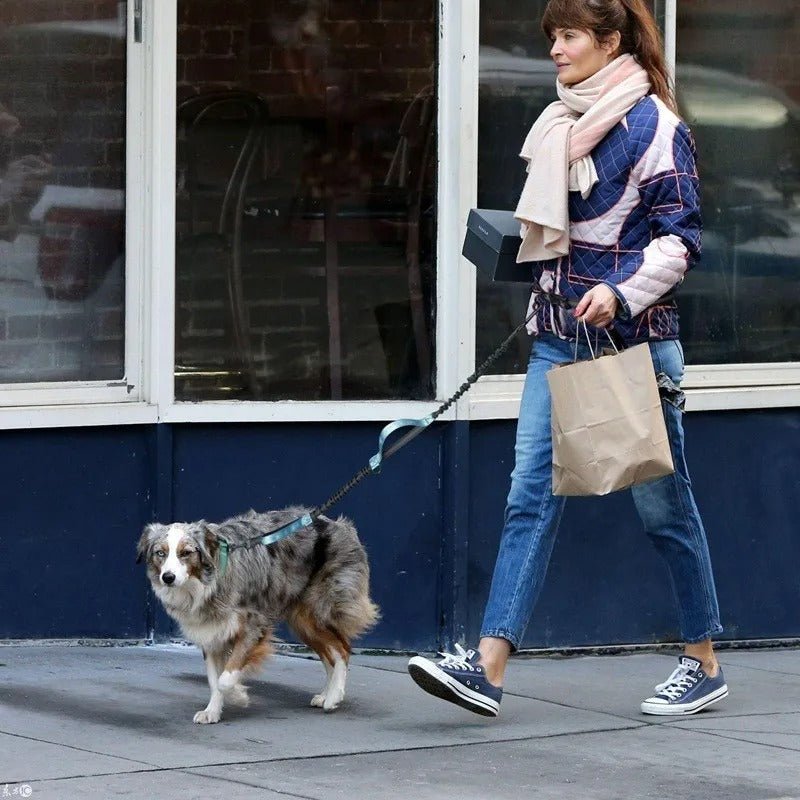 Laisse mains libres pour chien rétractable - Bleu