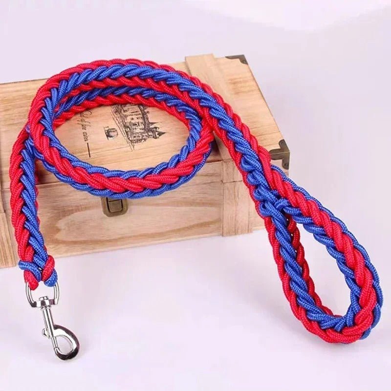 Laisse pour chien en nylon Rouge bleu