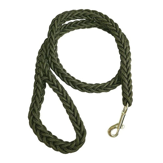 Laisse pour chien en nylon - Vert