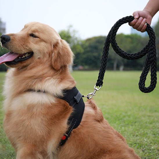 Laisse pour chien en nylon - Rouge noir