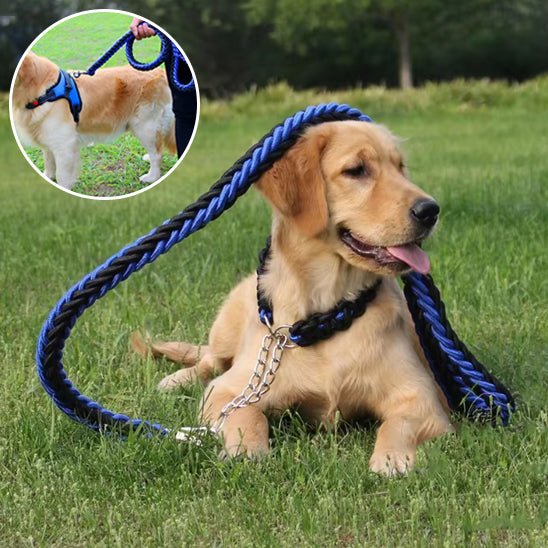 Laisse pour chien en nylon Rouge bleu