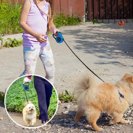 Laisse rétractable pour petit et moyen chien - Bleu et Noir