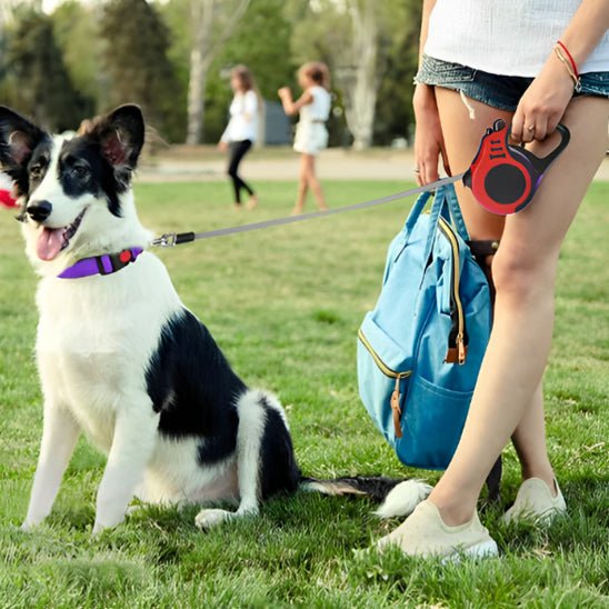 Laisse rétractable pour petit et moyen chien - Blanc et Gris