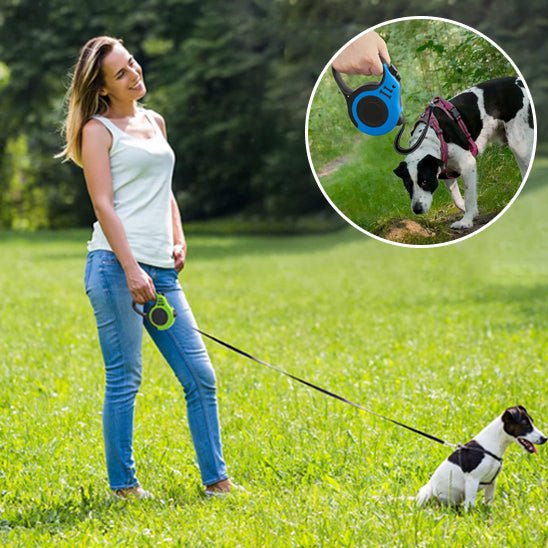 Laisse rétractable pour petit et moyen chien - Bleu et Noir