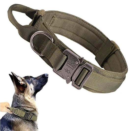 Collier tactique pour chien - Vert