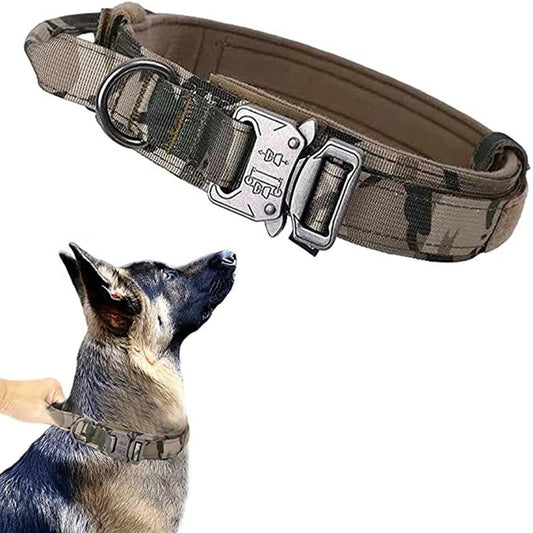 Collier tactique pour chien - Camo