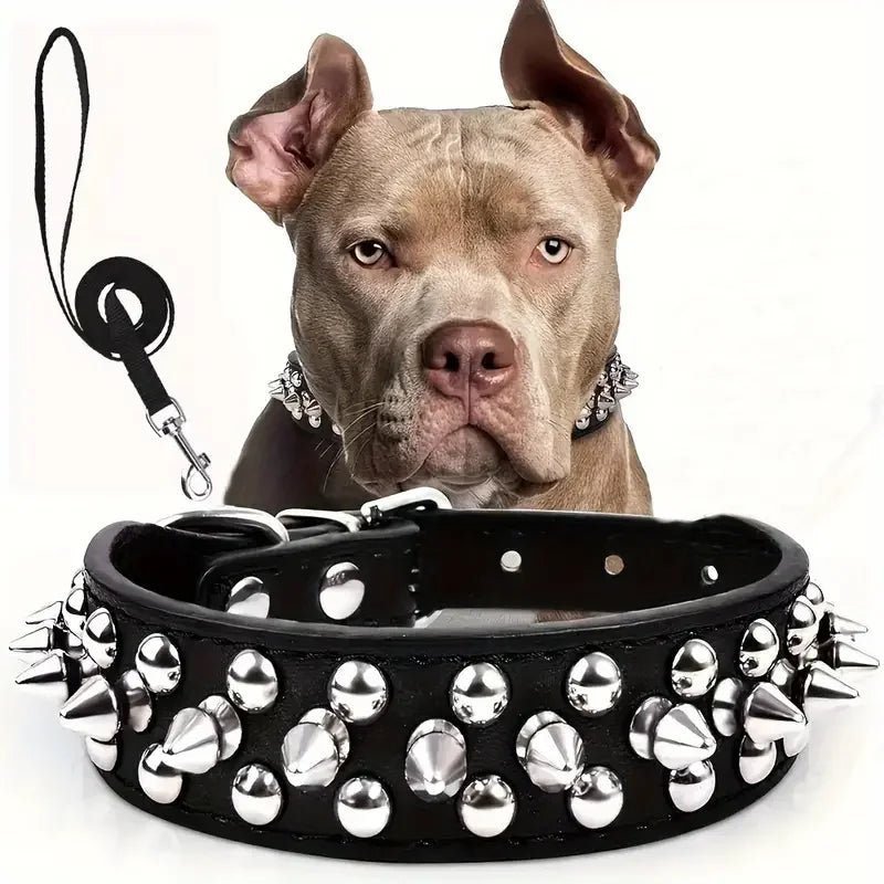 Ensemble laisse et collier clouté pour chien - Noir