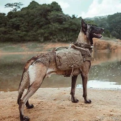 Sac à dos pour chien - BackpackDogHarness™ - Marron