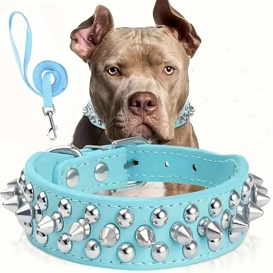 Ensemble laisse et collier clouté pour chien - Bleu