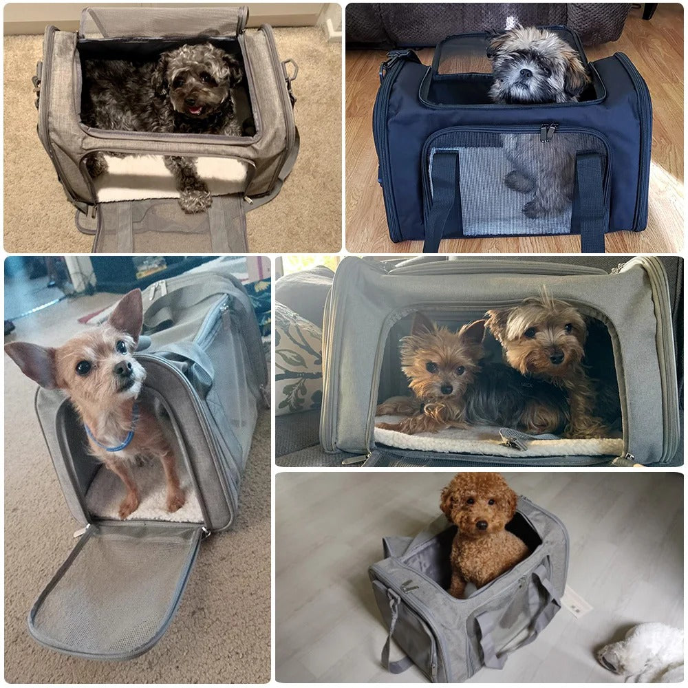 Sac de transport pour chien latéral - Noir