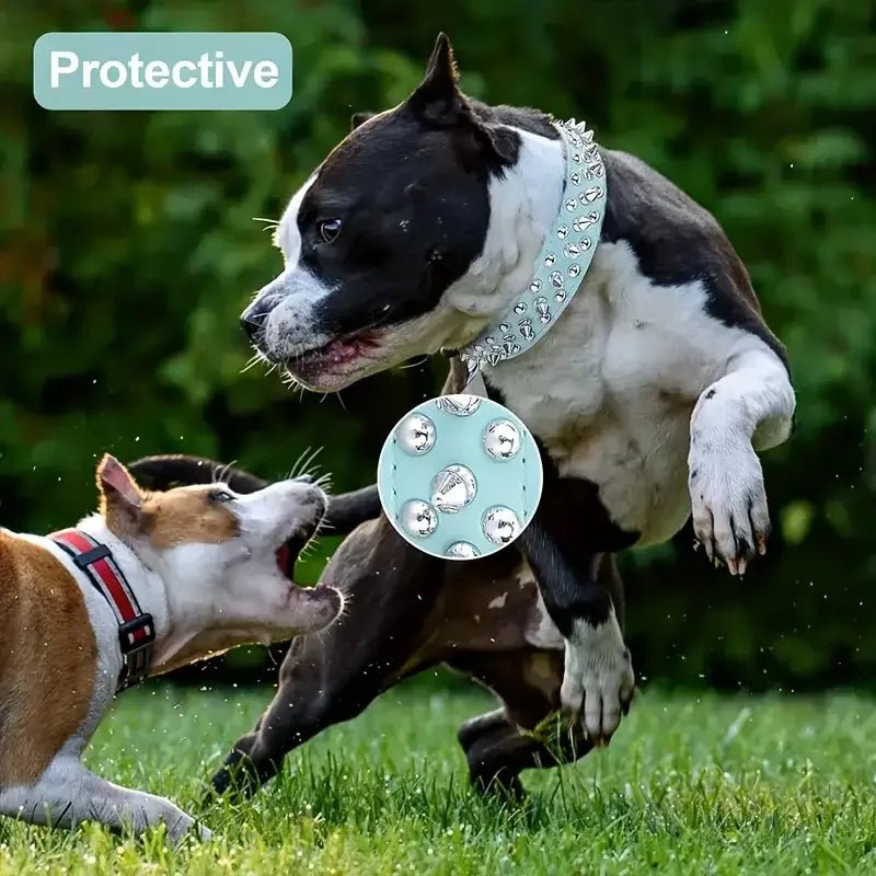 Ensemble laisse et collier clouté pour chien - Noir