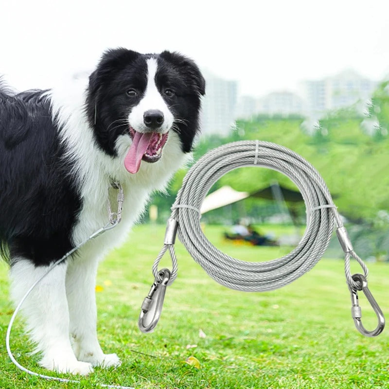 Cable d'attache pour chien