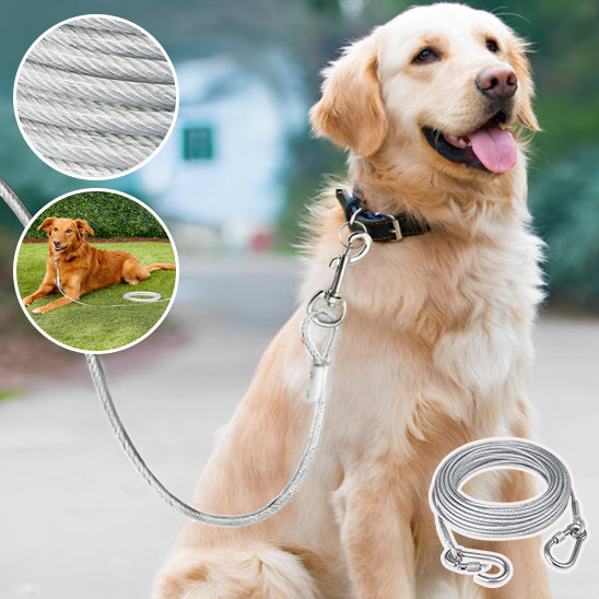 Cable d'attache pour chien