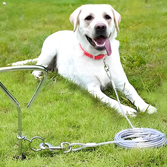 Cable d'attache pour chien