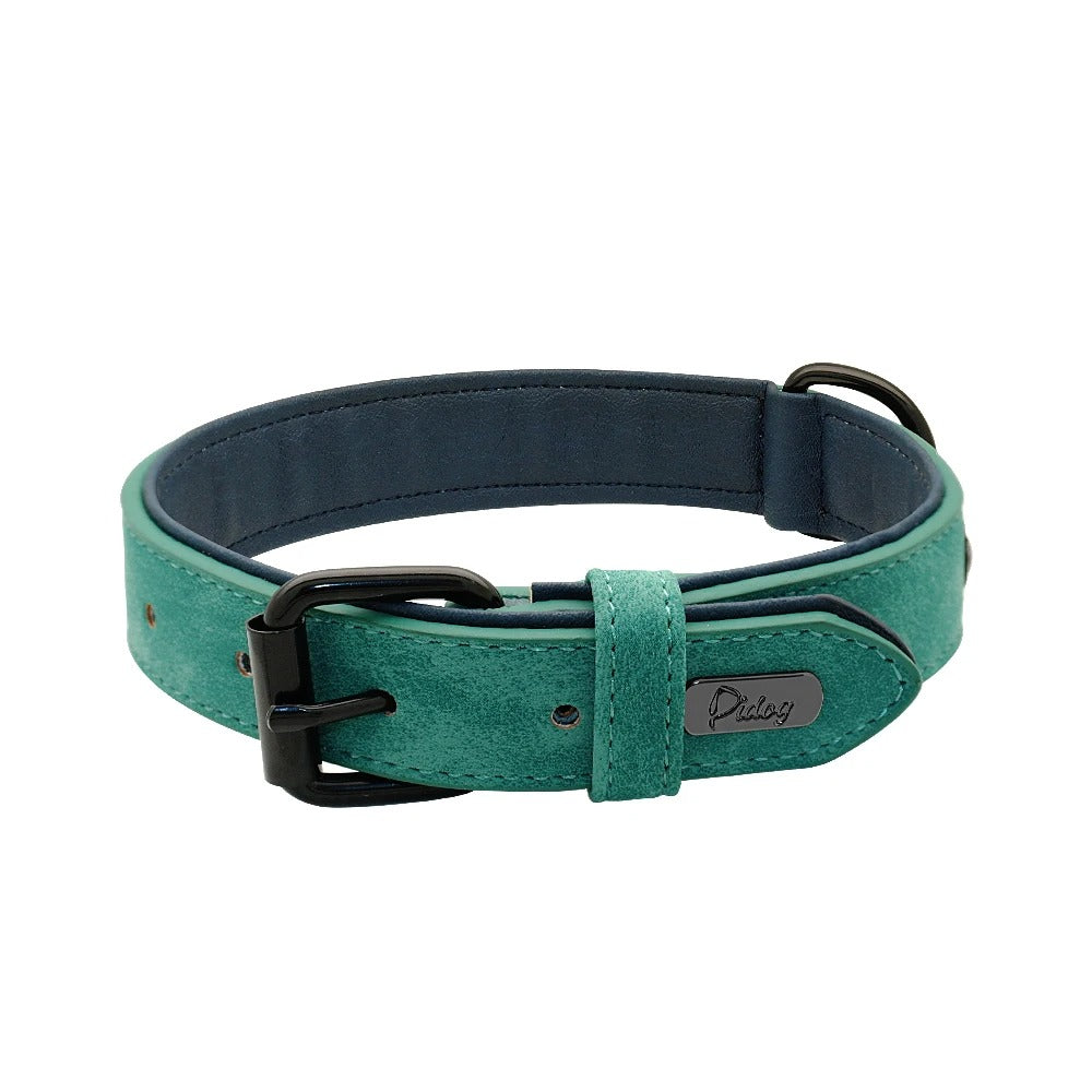 Collier en cuir véritable pour chien - Vert