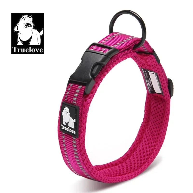 Collier pour chien Truelove - Rose