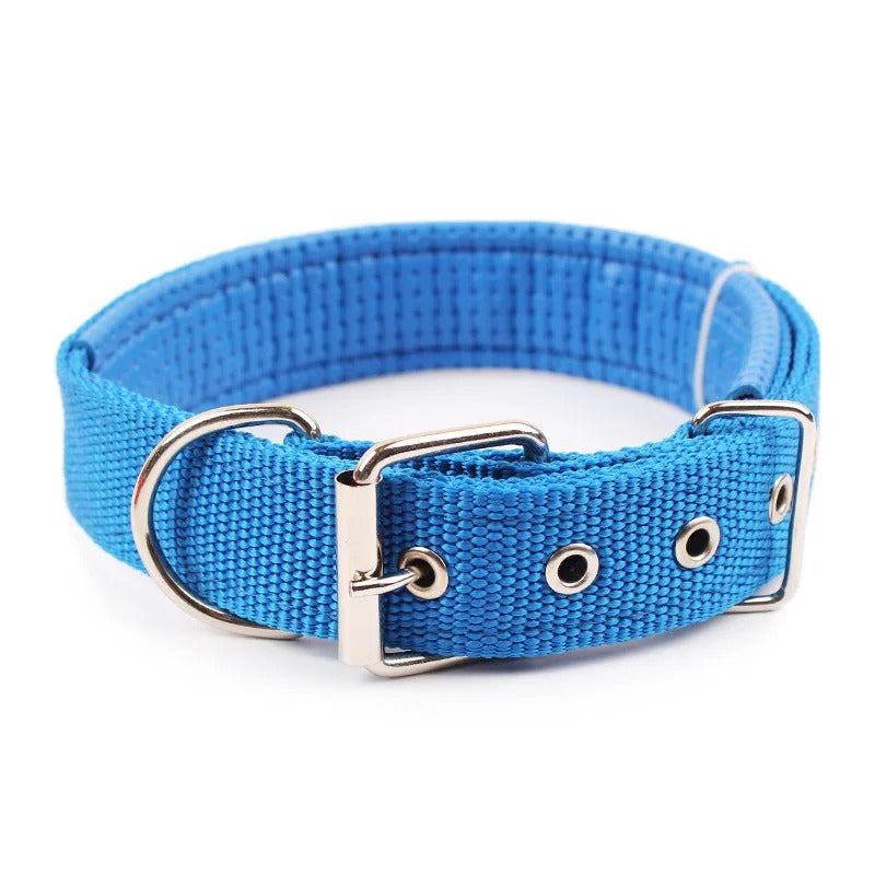 Colliers solides en nylon pour chien - Bleu