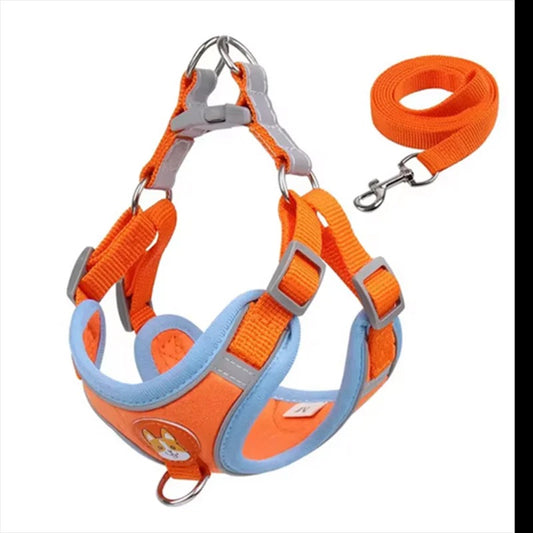 Ensemble harnais et laisse pour chien - Orange