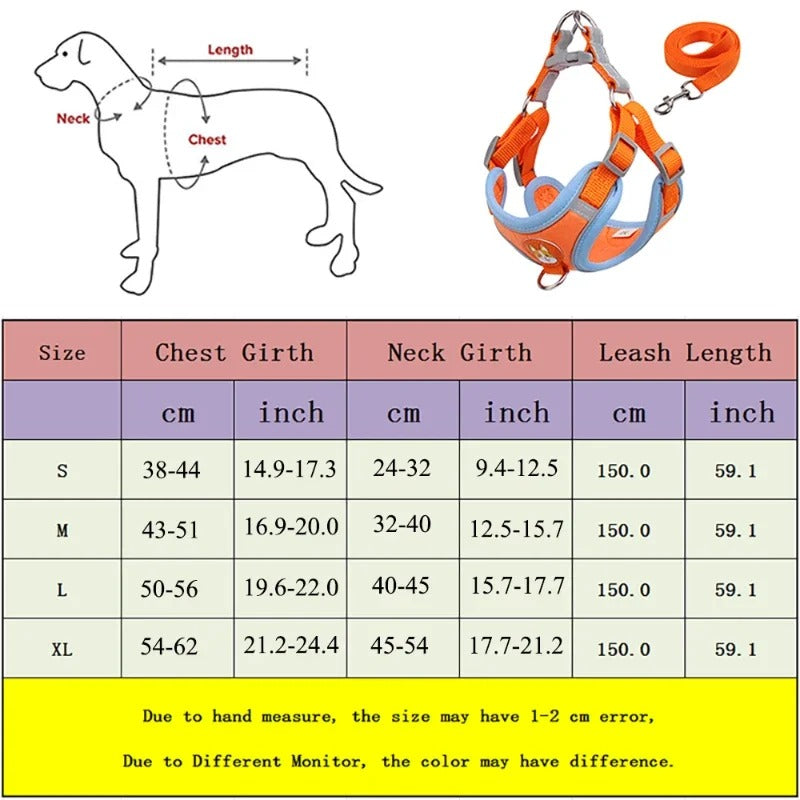 Ensemble harnais et laisse pour chien - Vert