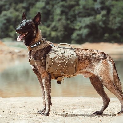 Sac à dos pour chien - BackpackDogHarness™ - Marron