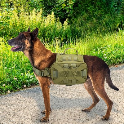 Sac à dos pour chien - BackpackDogHarness™ - Vert