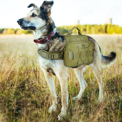 Sac à dos pour chien - BackpackDogHarness™ - Vert