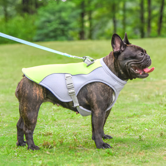 Veste rafraichissante pour chien - Mauve