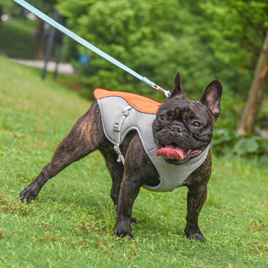 Veste rafraichissante pour chien - Mauve