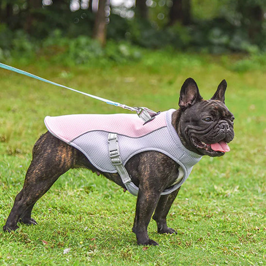 Veste rafraichissante pour chien - Mauve