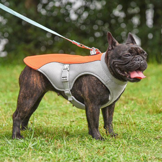 Veste rafraichissante pour chien - Mauve