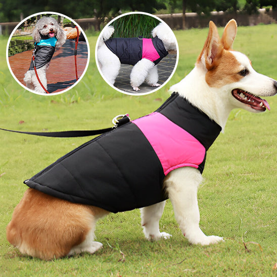 Manteau rembourrée imperméable pour chien - Rose